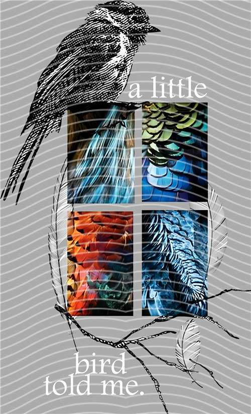 latest edition-KNY 1028